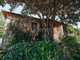 Dom na sprzedaż - Cabeceiras De Basto, Portugalia, 200 m², 264 416 USD (1 065 596 PLN), NET-98046935