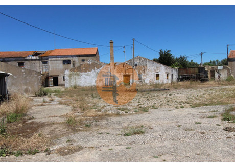 Magazyn na sprzedaż - Faro, São Brás De Alportel, Portugalia, 3897 m², 1 552 855 USD (6 320 121 PLN), NET-68662775