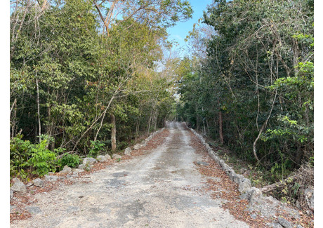 Działka na sprzedaż - 77774 Ciudad Chemuyil, Quintana Roo, Mexico Ciudad Chemuyil, Meksyk, 9 999,99 m², 134 617 USD (551 928 PLN), NET-97603936