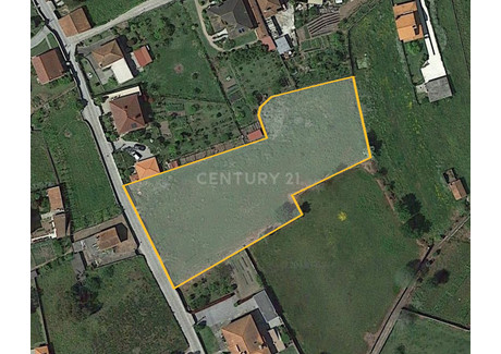 Działka na sprzedaż - São Romão De Neiva, Portugalia, 4510 m², 197 948 USD (809 606 PLN), NET-96127942