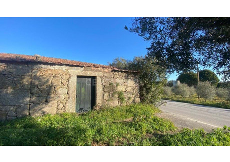 Mieszkanie na sprzedaż - Ninho Do Açor E Sobral Do Campo, Portugalia, 16 m², 15 983 USD (66 329 PLN), NET-96117970