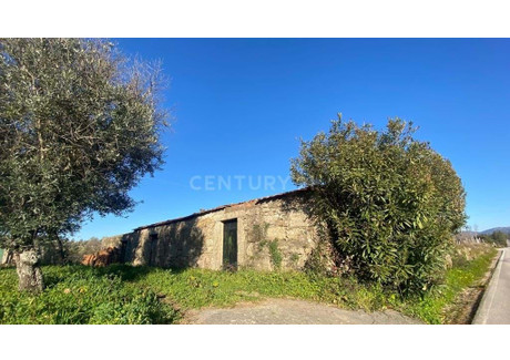 Mieszkanie na sprzedaż - Ninho Do Açor E Sobral Do Campo, Portugalia, 16 m², 16 435 USD (67 220 PLN), NET-96117970