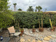 Mieszkanie na sprzedaż - 3079 Sunflower Circle E Palm Springs, Usa, 77,76 m², 314 900 USD (1 306 835 PLN), NET-100984112