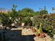 Mieszkanie na sprzedaż - 3079 Sunflower Circle E Palm Springs, Usa, 77,76 m², 314 900 USD (1 306 835 PLN), NET-100984112