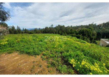 Działka na sprzedaż - Águeda, Portugalia, 2688 m², 46 753 USD (191 687 PLN), NET-95264077