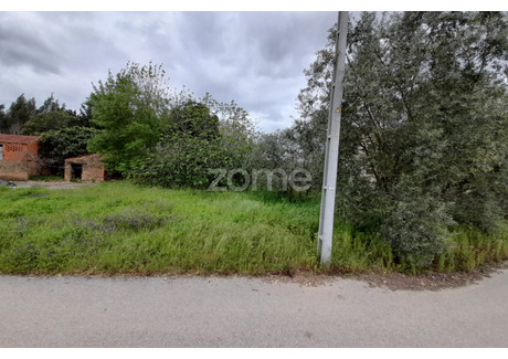 Działka na sprzedaż - Anadia, Portugalia, 1200 m², 25 752 USD (106 870 PLN), NET-91819540