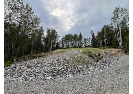 Działka na sprzedaż - Rue des Stratus, Lac-Kénogami, QC G8A0C5, CA Lac-Kénogami, Kanada, 10 021 m², 60 905 USD (252 754 PLN), NET-99550363