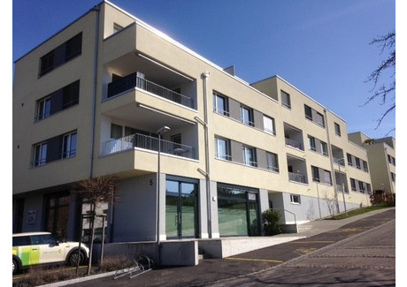 Mieszkanie do wynajęcia - Schulweg Port, Szwajcaria, 85 m², 1958 USD (8127 PLN), NET-102249641