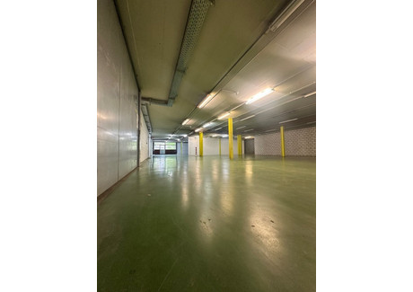 Lokal handlowy do wynajęcia - Rütiweg Pratteln, Szwajcaria, 853 m², 190 USD (772 PLN), NET-99215482