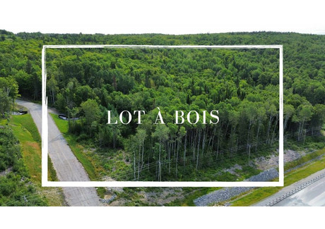 Działka na sprzedaż - 653 Route 185, Saint-Honoré-de-Témiscouata, QC G0L3K0, CA Saint-Honoré-De-Témiscouata, Kanada, 365 951 m², 168 859 USD (700 766 PLN), NET-99963426