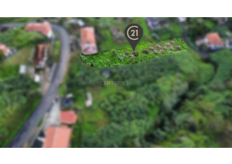 Działka na sprzedaż - Ilha Da Madeira, Porto Da Cruz, Portugalia, 1450 m², 65 205 USD (262 123 PLN), NET-96118281