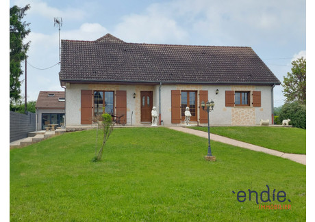 Dom na sprzedaż - Diou, Francja, 180 m², 303 772 USD (1 242 429 PLN), NET-97930908