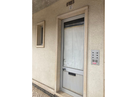 Biuro na sprzedaż - Leiria, Pombal, Portugalia, 13 m², 43 935 USD (179 695 PLN), NET-96587426