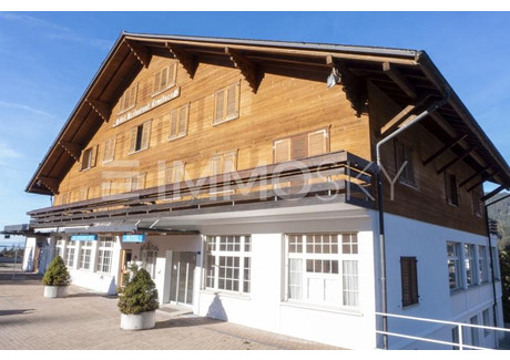 Hotel na sprzedaż - Les Paccots, Szwajcaria, 800 m², 5 879 987 USD (22 520 351 PLN), NET-100594509