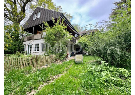 Dom na sprzedaż - Mietingen, Niemcy, 280 m², 633 965 USD (2 434 426 PLN), NET-100643811