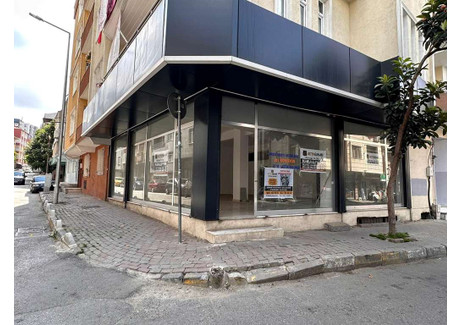 Komercyjne do wynajęcia - Istanbul, Turcja, 150 m², 1100 USD (4597 PLN), NET-102394179