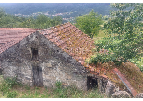 Dom na sprzedaż - Baiao, Portugalia, 60 m², 18 863 USD (78 847 PLN), NET-101914891