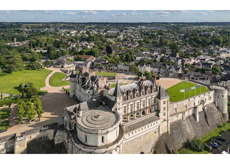 Dom na sprzedaż - Amboise, Francja, 650 m², 1 093 890 USD (4 484 950 PLN), NET-101513101