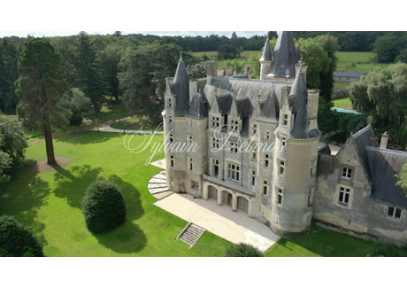 Dom na sprzedaż - Tours, Francja, 2000 m², 2 870 864 USD (11 311 205 PLN), NET-94046559