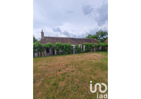 Dom na sprzedaż - Sully Sur Loire, Francja, 100 m², 72 727 USD (298 179 PLN), NET-102369796