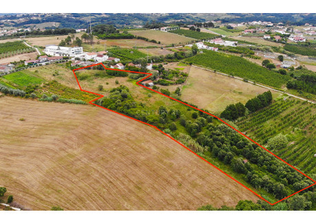 Działka na sprzedaż - Évora De Alcobaça, Portugalia, 12 250 m², 78 596 USD (319 885 PLN), NET-100380073