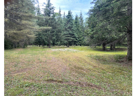 Działka na sprzedaż - Ch. de la Presqu'île, Lac-Simon, QC J0V1E0, CA Lac-Simon, Kanada, 4788 m², 162 896 USD (676 018 PLN), NET-99930611