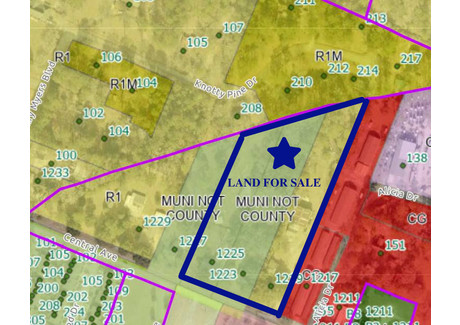 Działka na sprzedaż - 1219 Central Avenue Summerville, Usa, 22 257,71 m², 2 337 500 USD (8 976 000 PLN), NET-100086022