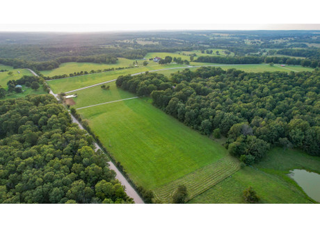 Działka na sprzedaż - 7661 County Road Mountain View, Usa, 145 686,83 m², 489 000 USD (1 877 760 PLN), NET-99461735