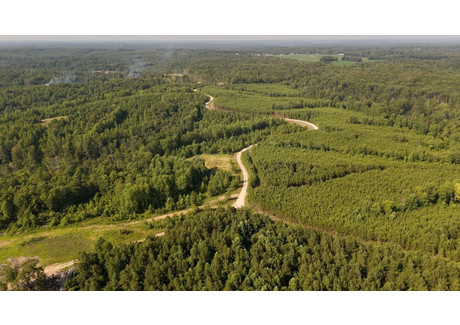 Działka na sprzedaż - TBD Cox Hollow Road Dover, Usa, 267 092,53 m², 363 000 USD (1 393 920 PLN), NET-99722824