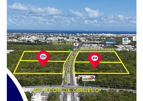 Działka na sprzedaż - 5 Avenida Norte Playa Del Carmen, Meksyk, 60 822 m², 12 214 083 USD (49 955 599 PLN), NET-101065154