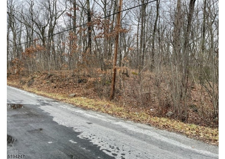 Działka na sprzedaż - 5 Bridge Rd, Sussex, NJ Vernon Twp., Usa, 1254,53 m², 24 900 USD (100 098 PLN), NET-85306987