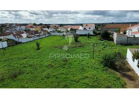 Działka na sprzedaż - São Vicente do Paul e Vale de Figueira Santarém, Portugalia, 12 170 m², 129 626 USD (522 392 PLN), NET-97158716