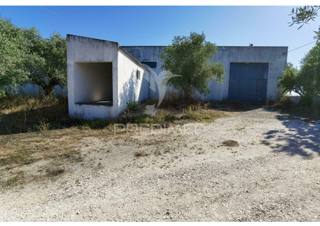 Magazyn na sprzedaż - São Vicente do Paul e Vale de Figueira Santarém, Portugalia, 360 m², 87 865 USD (337 403 PLN), NET-90063788