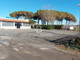 Komercyjne na sprzedaż - Via Piani della Marina, Montalto Di Castro, Włochy, 229 m², 319 587 USD (1 259 172 PLN), NET-93991923