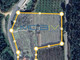 Dom na sprzedaż - Bombarral, Portugalia, 172 m², 255 436 USD (983 430 PLN), NET-99005433