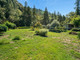 Komercyjne na sprzedaż - 324 Horse Linto Creek Road, Humboldt County, CA Willow Creek, Usa, 120,96 m², 429 000 USD (1 647 360 PLN), NET-100471561