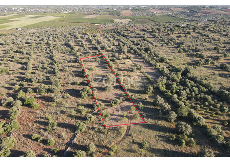 Działka na sprzedaż - Silves, Portugalia, 5620 m², 15 584 USD (63 896 PLN), NET-94342687