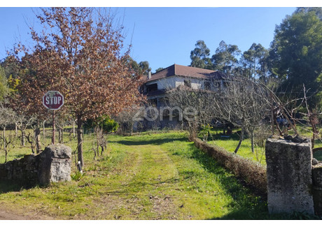 Dom na sprzedaż - Viseu, Portugalia, 450 m², 489 900 USD (1 969 400 PLN), NET-96067397