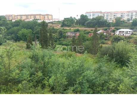 Działka na sprzedaż - Águeda, Portugalia, 5199 m², 716 751 USD (2 752 324 PLN), NET-98318646