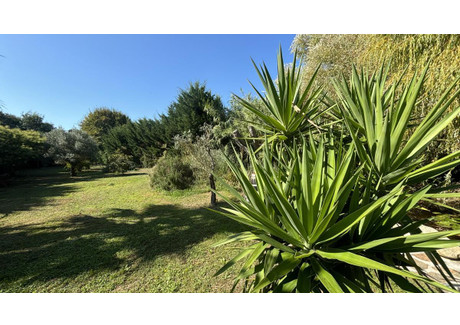 Dom na sprzedaż - La Couarde-Sur-Mer, Francja, 144 m², 1 132 807 USD (4 542 556 PLN), NET-100815815