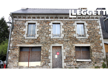 Dom na sprzedaż - Loqueffret, Francja, 157,75 m², 94 437 USD (376 802 PLN), NET-97181210