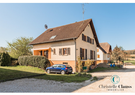 Dom na sprzedaż - Illtal, Francja, 160 m², 282 961 USD (1 157 310 PLN), NET-102211920