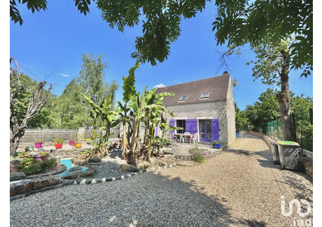 Dom na sprzedaż - Dormelles, Francja, 134 m², 318 197 USD (1 253 698 PLN), NET-89659699