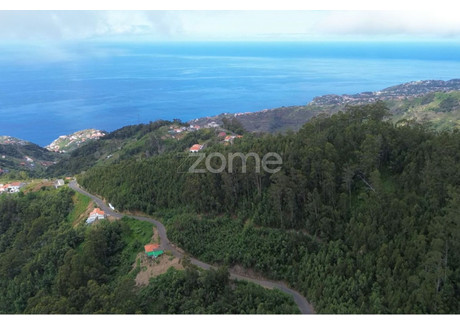 Działka na sprzedaż - Ribeira Brava, Portugalia, 5000 m², 61 506 USD (252 175 PLN), NET-98086164