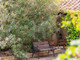 Dom na sprzedaż - Saint-Rémy-De-Provence, Francja, 487 m², 921 166 USD (3 629 392 PLN), NET-96914101