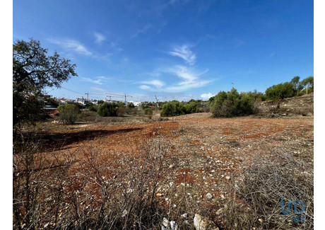 Działka na sprzedaż - Tavira, Portugalia, 6000 m², 2 120 682 USD (8 673 588 PLN), NET-99947623