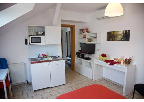 Mieszkanie do wynajęcia - Fabiganstraße Vienna, Austria, 25 m², 1303 USD (5303 PLN), NET-102627955