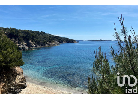 Mieszkanie na sprzedaż - Hyeres, Francja, 34 m², 216 708 USD (871 165 PLN), NET-98741022