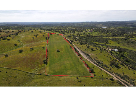 Działka na sprzedaż - Évora, Campo E Campinho, Portugalia, 35 000 m², 26 535 USD (102 161 PLN), NET-96016308