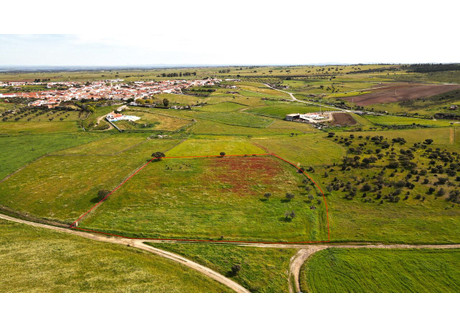 Działka na sprzedaż - Évora, Campo E Campinho, Portugalia, 9750 m², 25 995 USD (107 878 PLN), NET-96040188